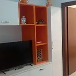 Alma Sarande